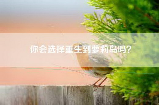 你会选择重生到萝莉岛吗？