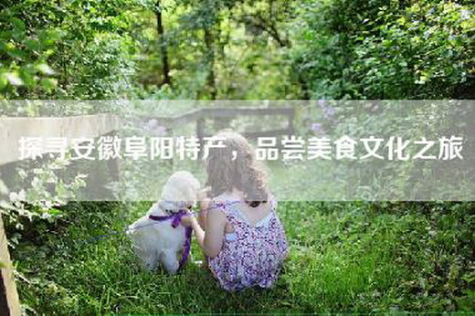 探寻安徽阜阳特产，品尝美食文化之旅