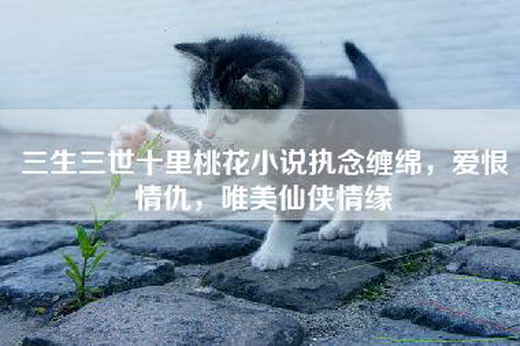 三生三世十里桃花小说执念缠绵，爱恨情仇，唯美仙侠情缘